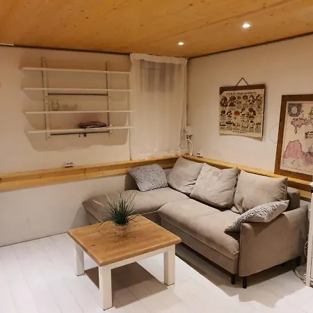 Apartment Center Basement Studio *